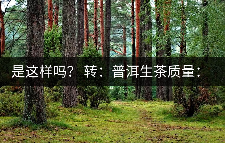 是這樣嗎？ 轉(zhuǎn)：普洱生茶質(zhì)量：大廠和小廠沒(méi)有區(qū)別