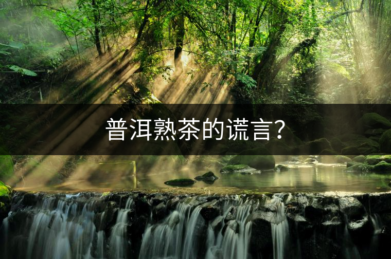 普洱熟茶的謊言？