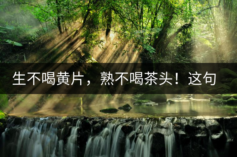 生不喝黃片，熟不喝茶頭！這句話你了解多少？