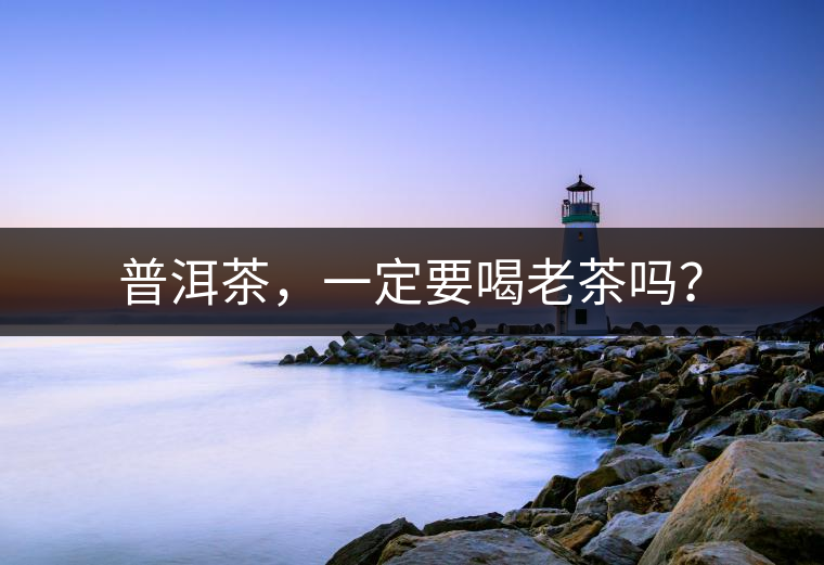 普洱茶，一定要喝老茶嗎？