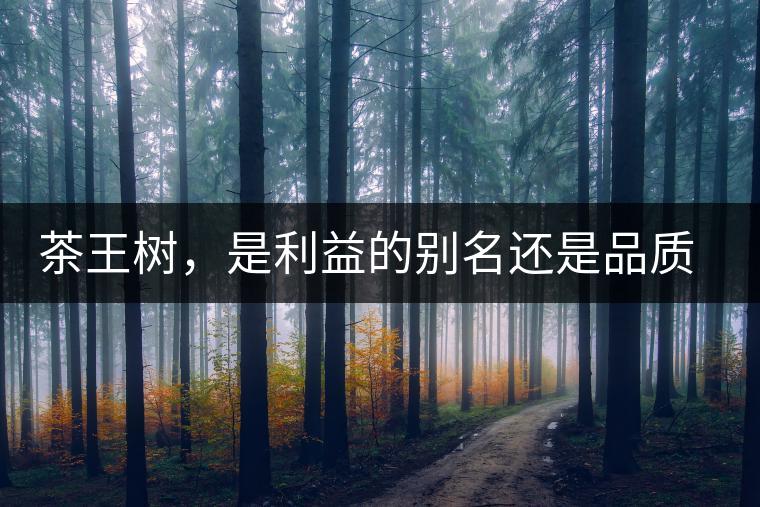 茶王樹，是利益的別名還是品質(zhì)的象征？