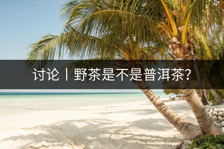 討論丨野茶是不是普洱茶？