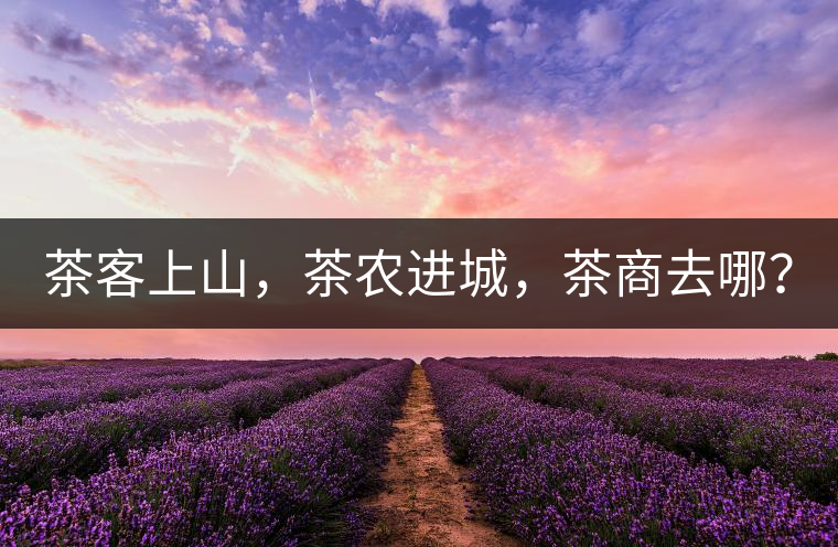 茶客上山，茶農(nóng)進(jìn)城，茶商去哪？