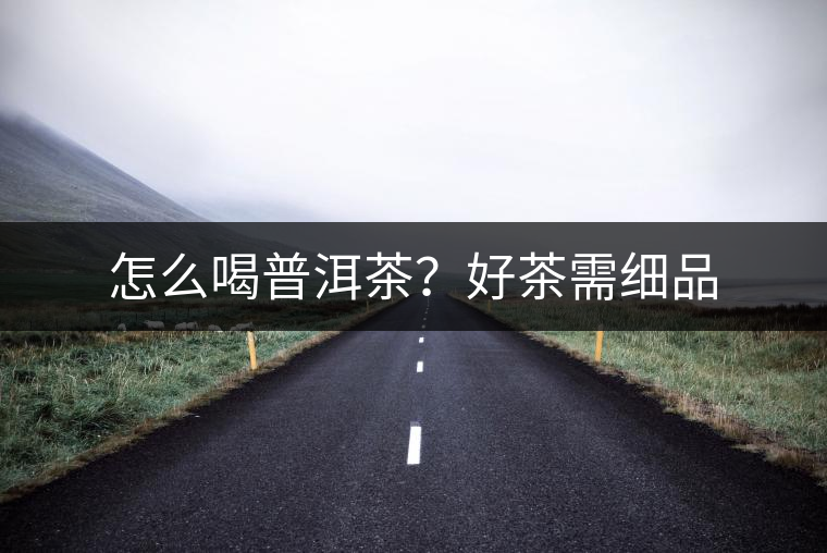 怎么喝普洱茶？好茶需細(xì)品