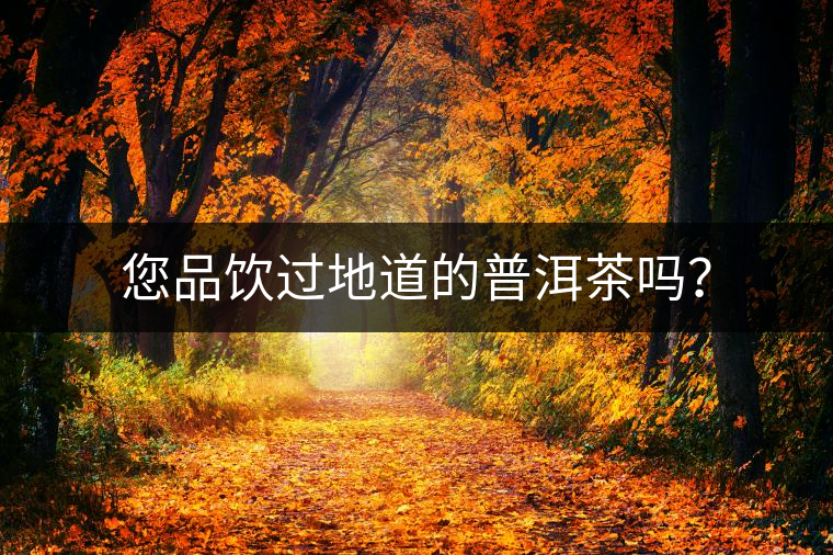 您品飲過(guò)地道的普洱茶嗎？