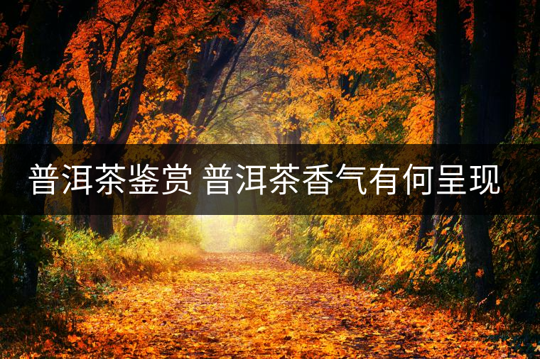 普洱茶鑒賞 普洱茶香氣有何呈現(xiàn)？