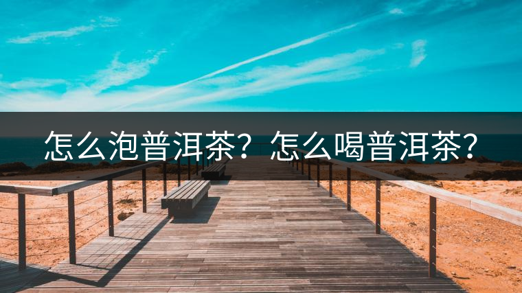 怎么泡普洱茶？怎么喝普洱茶？