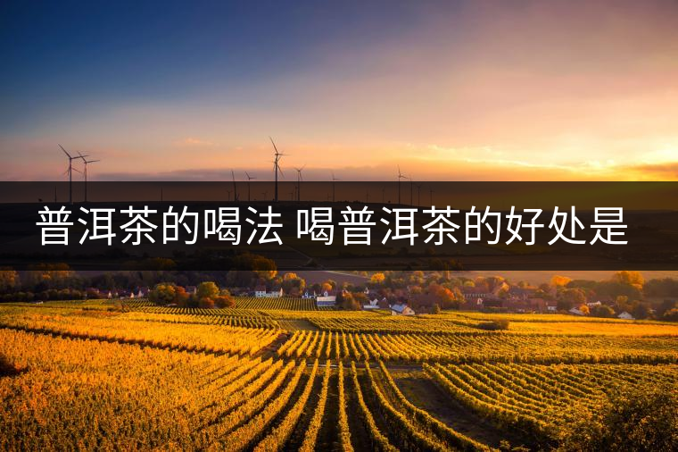 普洱茶的喝法 喝普洱茶的好處是什么？