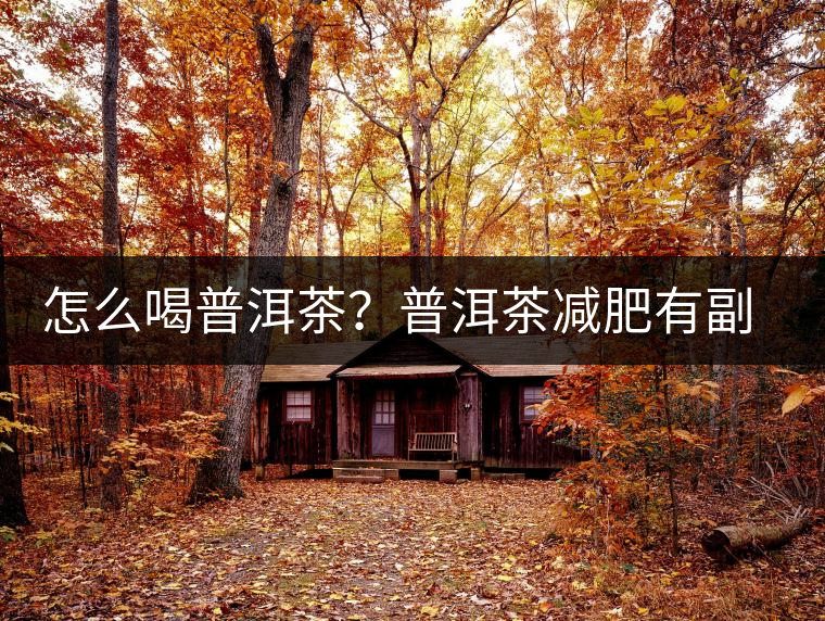 怎么喝普洱茶？普洱茶減肥有副作用嗎？