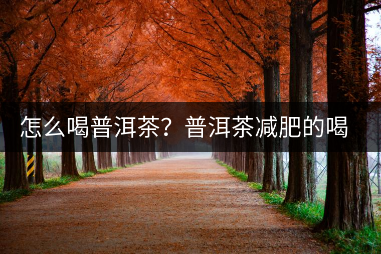怎么喝普洱茶？普洱茶減肥的喝法