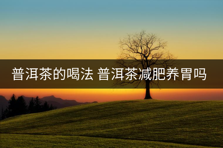 普洱茶的喝法 普洱茶減肥養(yǎng)胃嗎？