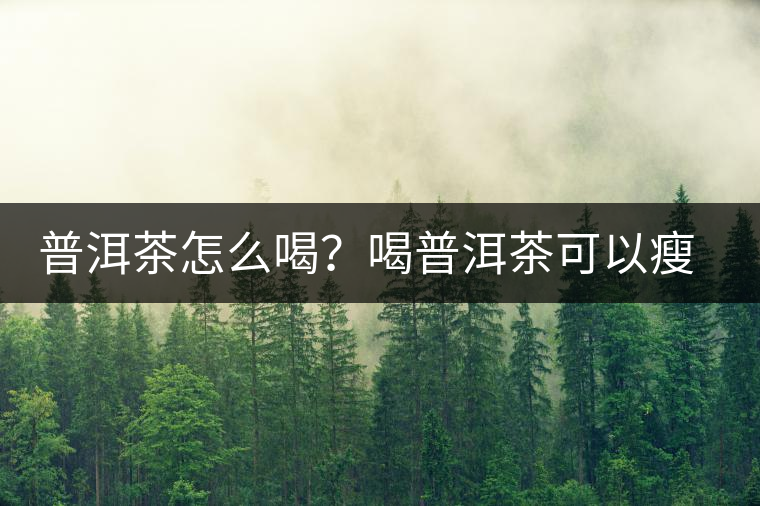 普洱茶怎么喝？喝普洱茶可以瘦腹嗎？