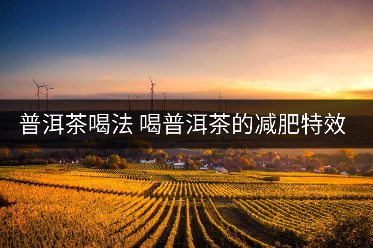 普洱茶喝法 喝普洱茶的減肥特效是什么呢？