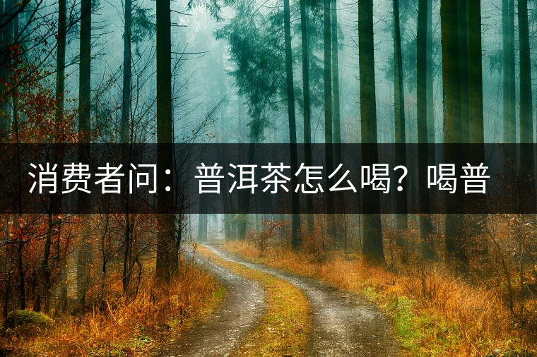 消費者問：普洱茶怎么喝？喝普洱茶要怎么沖泡好？