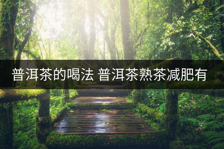 普洱茶的喝法 普洱茶熟茶減肥有什么效果嗎？