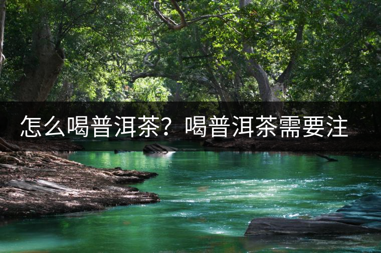 怎么喝普洱茶？喝普洱茶需要注意的要點(diǎn)