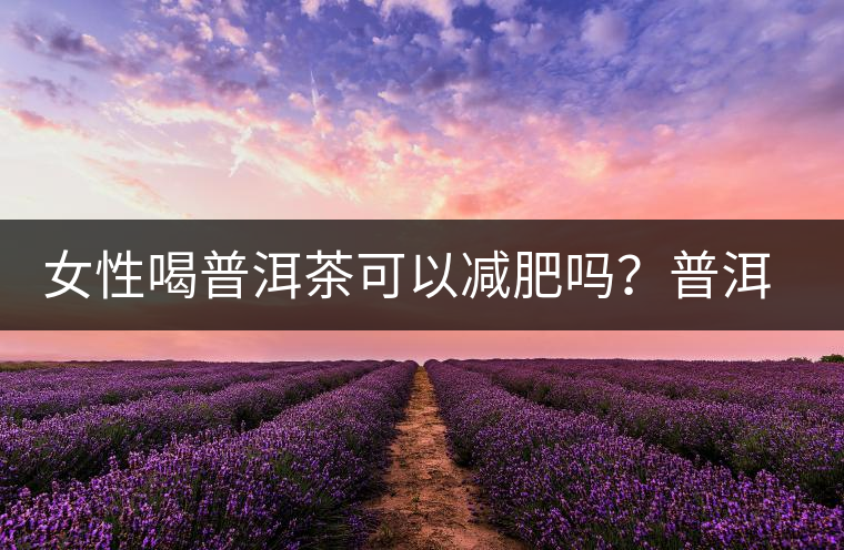 女性喝普洱茶可以減肥嗎？普洱茶的功效又有哪些呢？