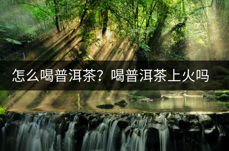 怎么喝普洱茶？喝普洱茶上火嗎？喝普洱茶會(huì)不會(huì)上火？