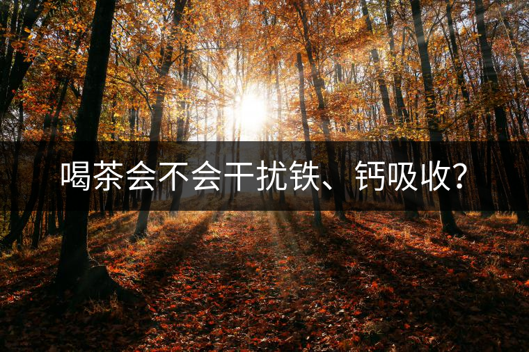 喝茶會(huì)不會(huì)干擾鐵、鈣吸收？