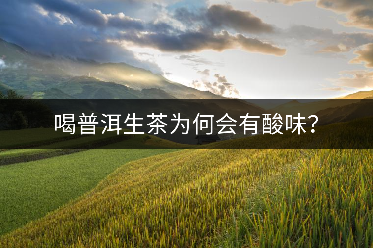 喝普洱生茶為何會(huì)有酸味？