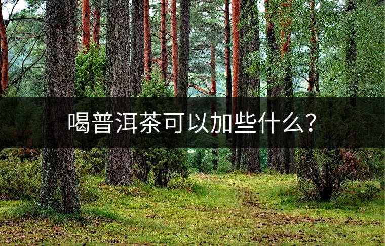 喝普洱茶可以加些什么？