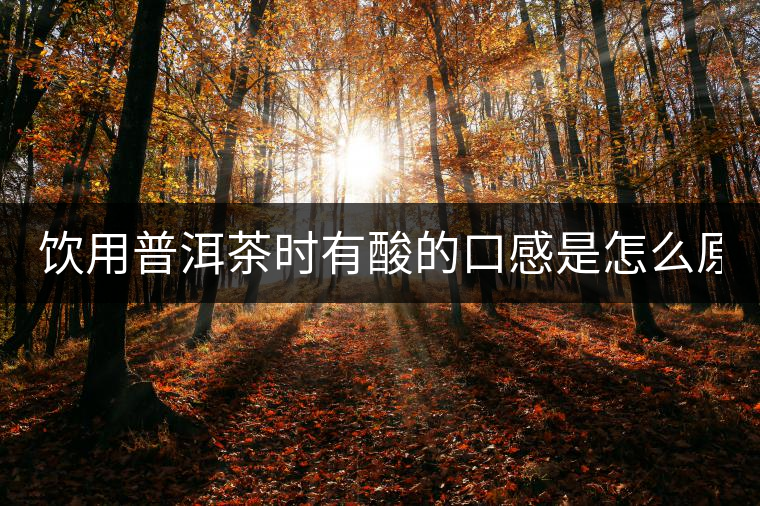 飲用普洱茶時有酸的口感是怎么原因？