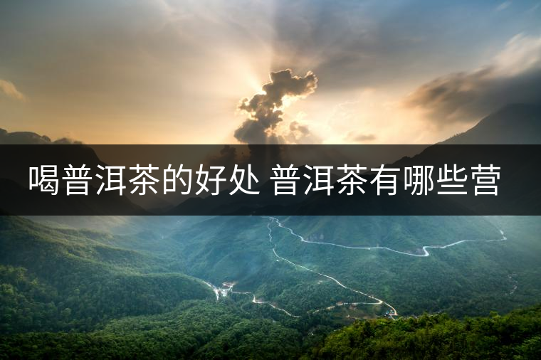 喝普洱茶的好處 普洱茶有哪些營(yíng)養(yǎng)價(jià)值？