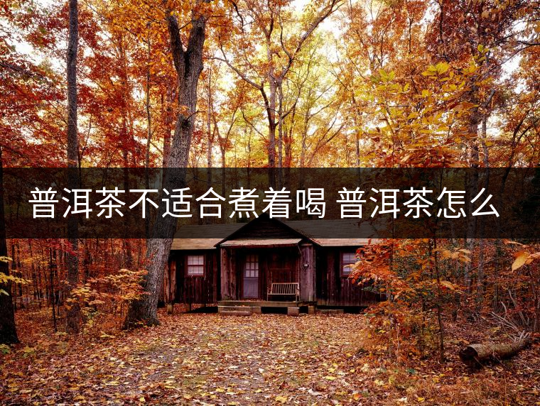 普洱茶不適合煮著喝 普洱茶怎么喝？