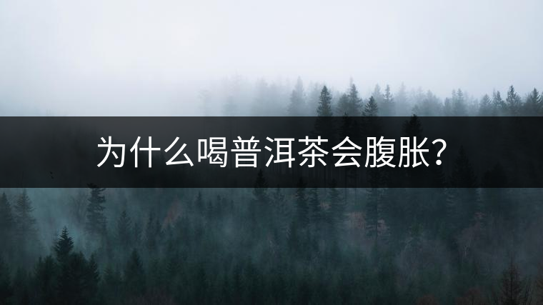 為什么喝普洱茶會(huì)腹脹？