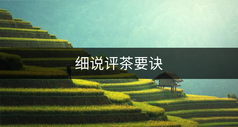 細(xì)說評(píng)茶要訣 細(xì)說評(píng)茶要訣