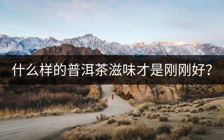 什么樣的普洱茶滋味才是剛剛好？