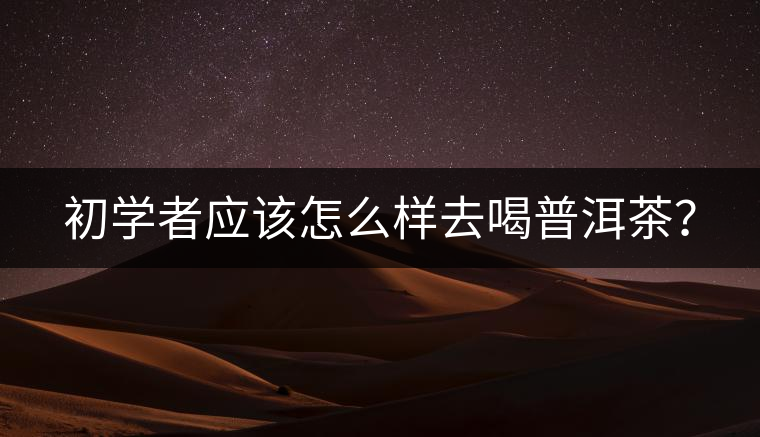 初學(xué)者應(yīng)該怎么樣去喝普洱茶？