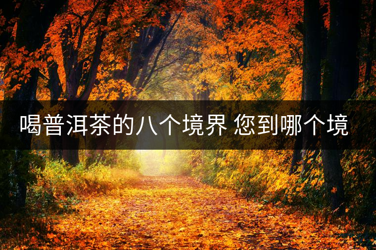 喝普洱茶的八個境界 您到哪個境界了？