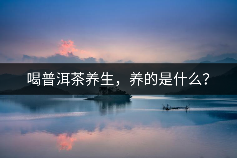 喝普洱茶養(yǎng)生，養(yǎng)的是什么？