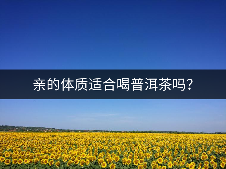 親的體質(zhì)適合喝普洱茶嗎？