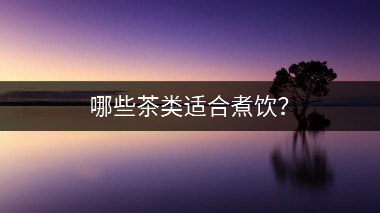 哪些茶類適合煮飲？