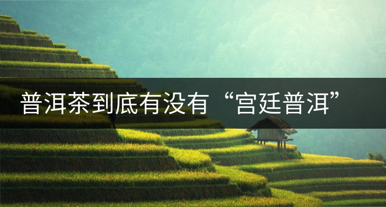 普洱茶到底有沒有“宮廷普洱”一說？它到底是什么？