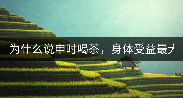 為什么說申時喝茶，身體受益最大？
