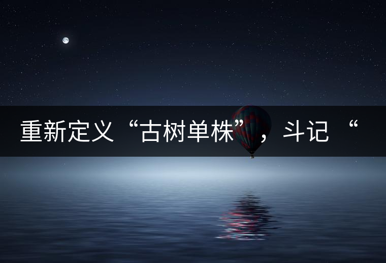 重新定義“古樹單株”，斗記 “超級(jí)審評(píng)”有償招募告罄在即！