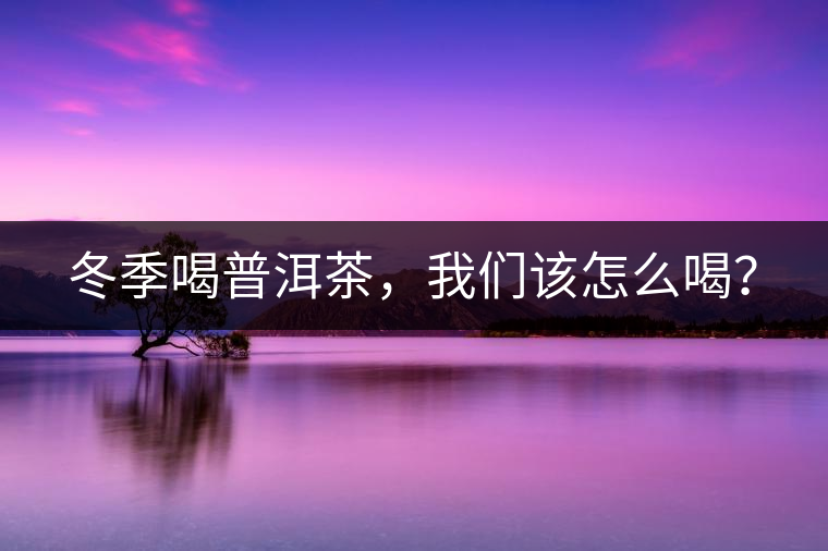 冬季喝普洱茶，我們該怎么喝？