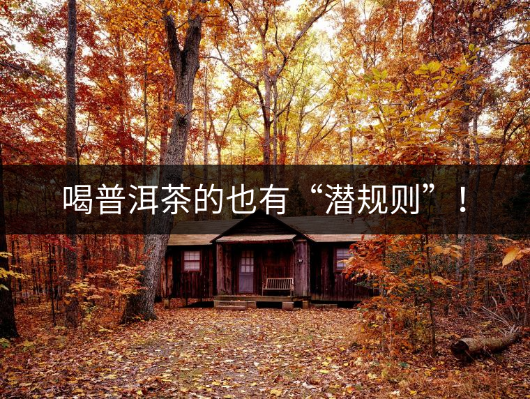 喝普洱茶的也有“潛規(guī)則”！