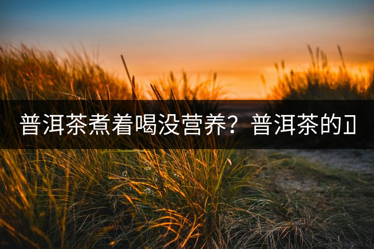 普洱茶煮著喝沒營養(yǎng)？普洱茶的正確煮法！