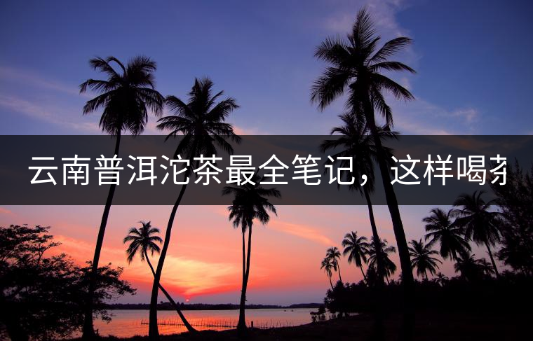 云南普洱沱茶最全筆記，這樣喝茶才更健康！