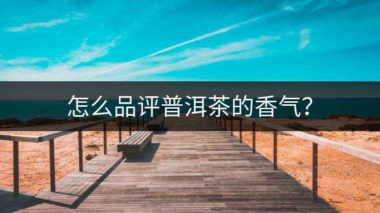 怎么品評普洱茶的香氣？