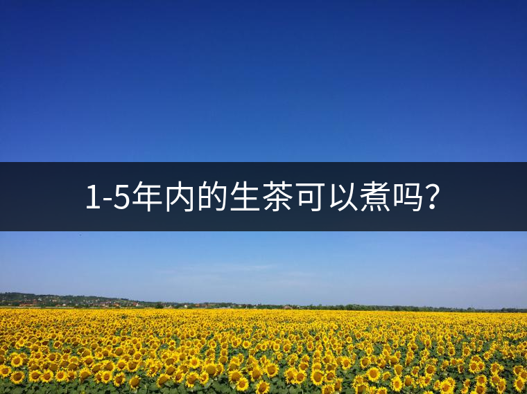 1-5年內(nèi)的生茶可以煮嗎？