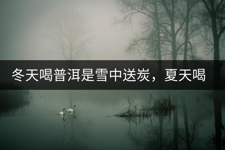 冬天喝普洱是雪中送炭，夏天喝就是火上澆油了？