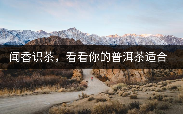 聞香識茶，看看你的普洱茶適合現(xiàn)在喝還是以后喝？