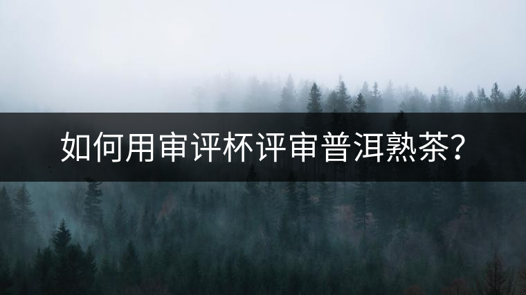 如何用審評杯評審普洱熟茶？