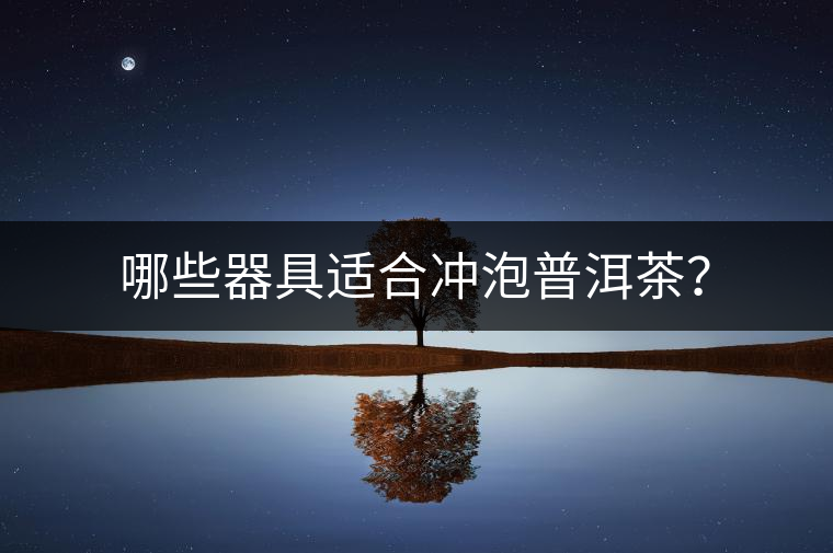 哪些器具適合沖泡普洱茶？