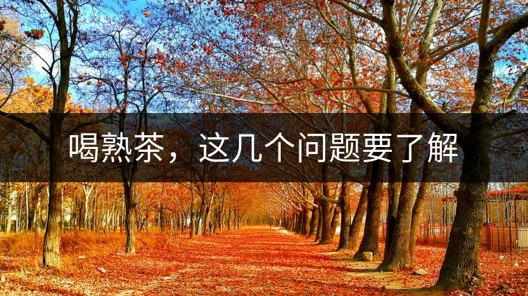 喝熟茶，這幾個(gè)問題要了解